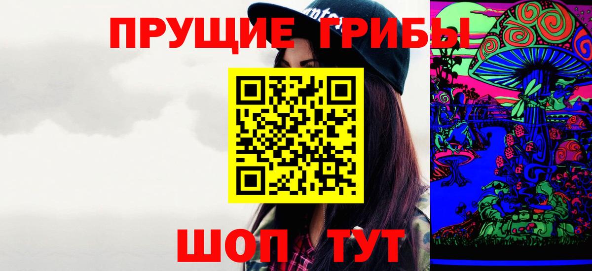 Пенза  Псилоцибиновые грибы Cubensis  Вход с VPN 